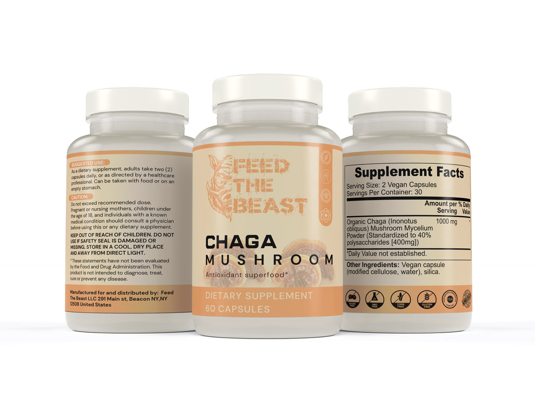 Chaga Mushroom