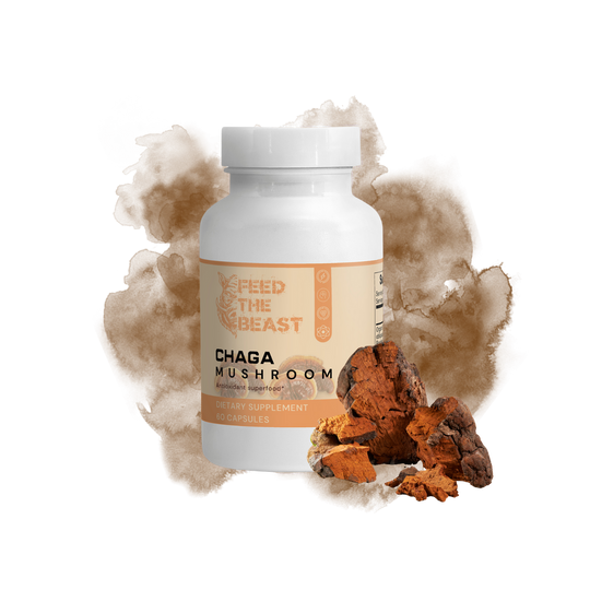 Chaga Mushroom